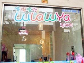 嘉善宠物店爆料信息最新,宠物行业新趋势揭秘